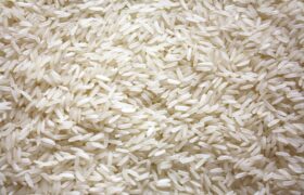 Agriculteurs dominicains réclament des limites aux importations de riz et de poulet