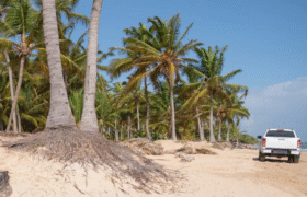 Ministère de l&rsquo;Environnement applique une zone tampon de 60 mètres sur les plages à Pâques