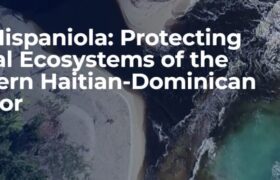 Actualités dominicaines