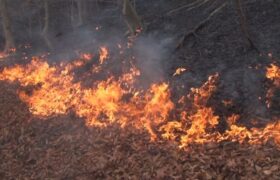 Le ministère met en garde contre les feux ouverts alors que des terres agricoles brûlent à Saint-Élisabeth