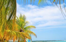 Jamaïque : 2,34 millions de visiteurs et 2,5 milliards de dollars US à fin août