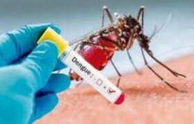 L&rsquo;OPS appelle les Caraïbes à se préparer à une éventuelle hausse de la dengue et de la chikungunya
